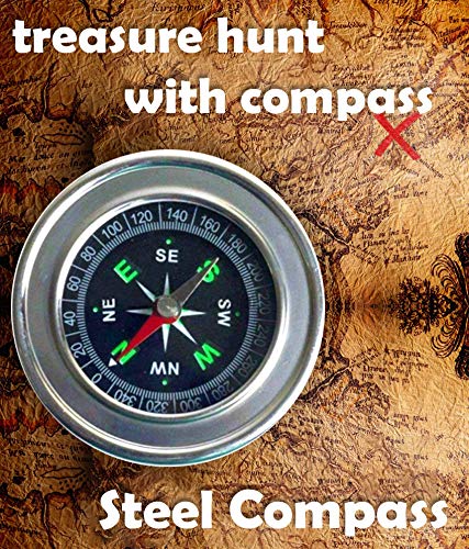 COMPASS NEEDLE