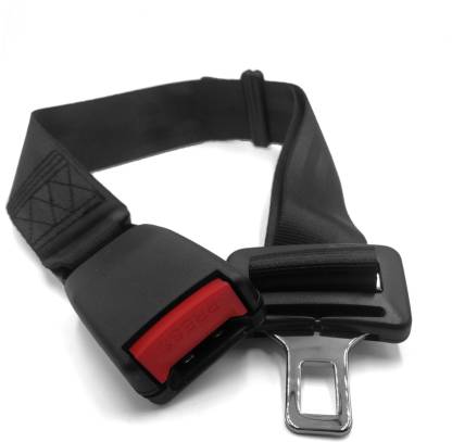 Portable Seatbelt